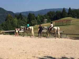 43639030_2251554378417210_5303108678579126272_n