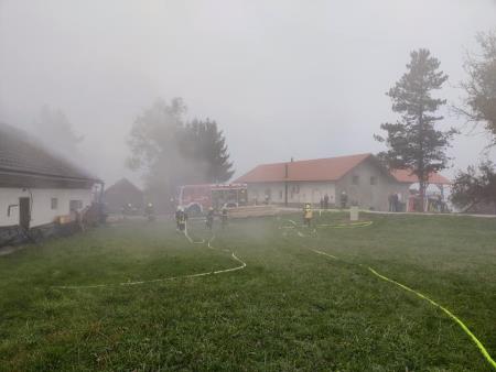 246200380_1254493155068104_6197003801377605087_n