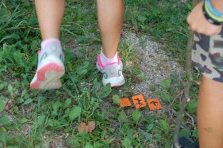 Gozdni tabor na Debencu, foto Zavod GOZDNICE