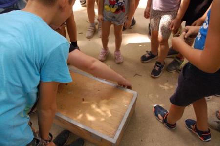 Gozdni tabor na Debencu, foto Zavod GOZDNICE