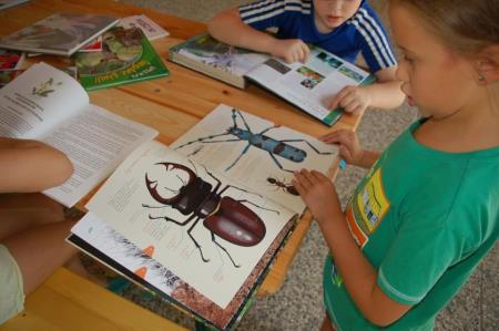 Gozdni tabor na Debencu, foto Zavod GOZDNICE
