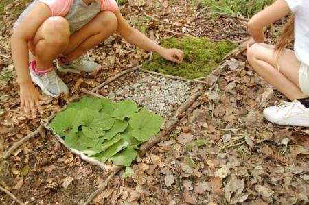 Gozdni tabor na Debencu, foto Zavod GOZDNICE
