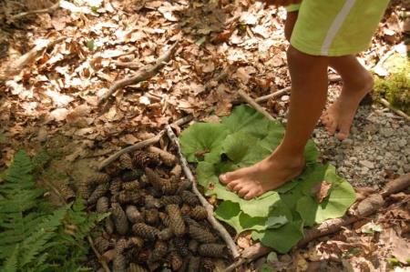 Gozdni tabor na Debencu, foto Zavod GOZDNICE