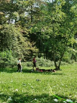 13. Dobrodelni Trimmigo