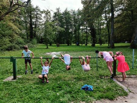 13. Dobrodelni Trimmigo