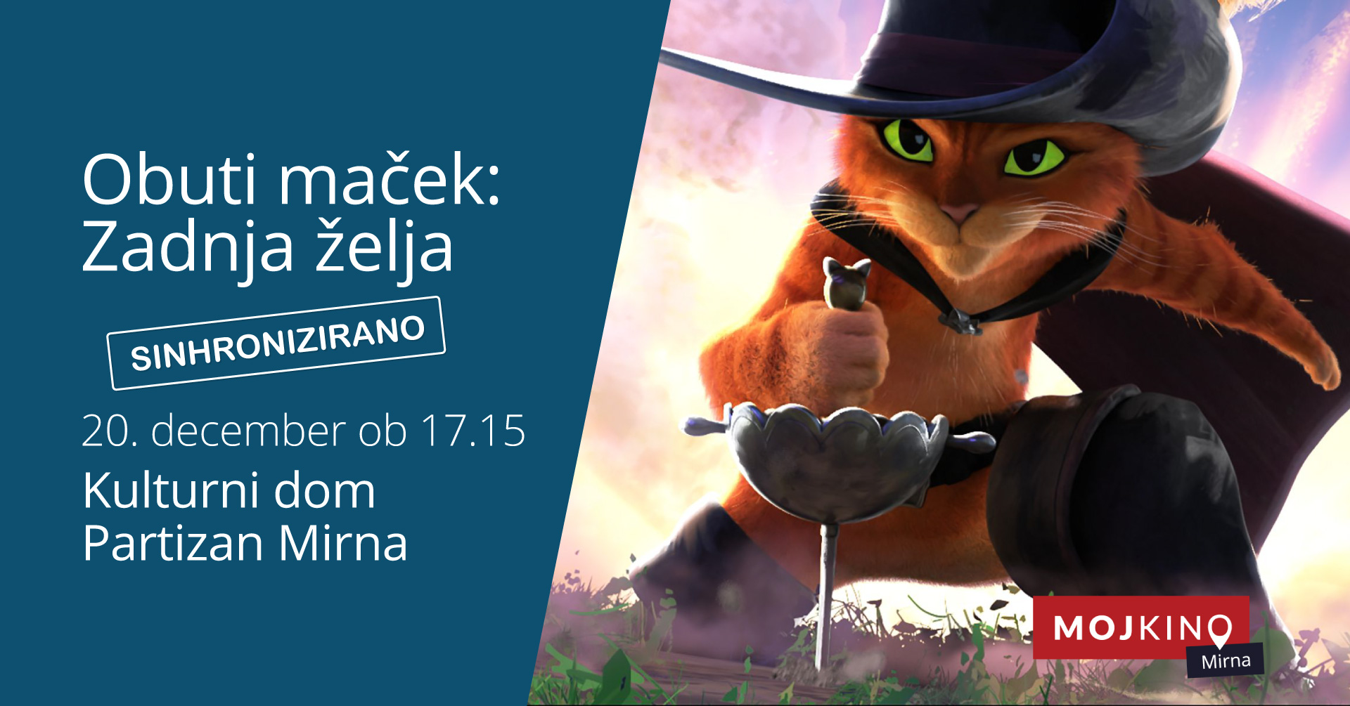 FB_photo_Mirna_dec_Obuti_maček